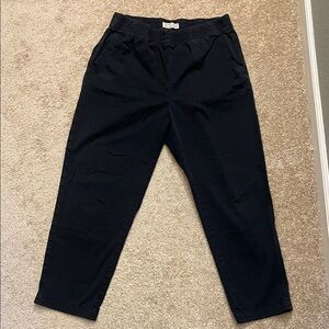 Everlane Easy Pant Pull on Joggers Women’s Size 12